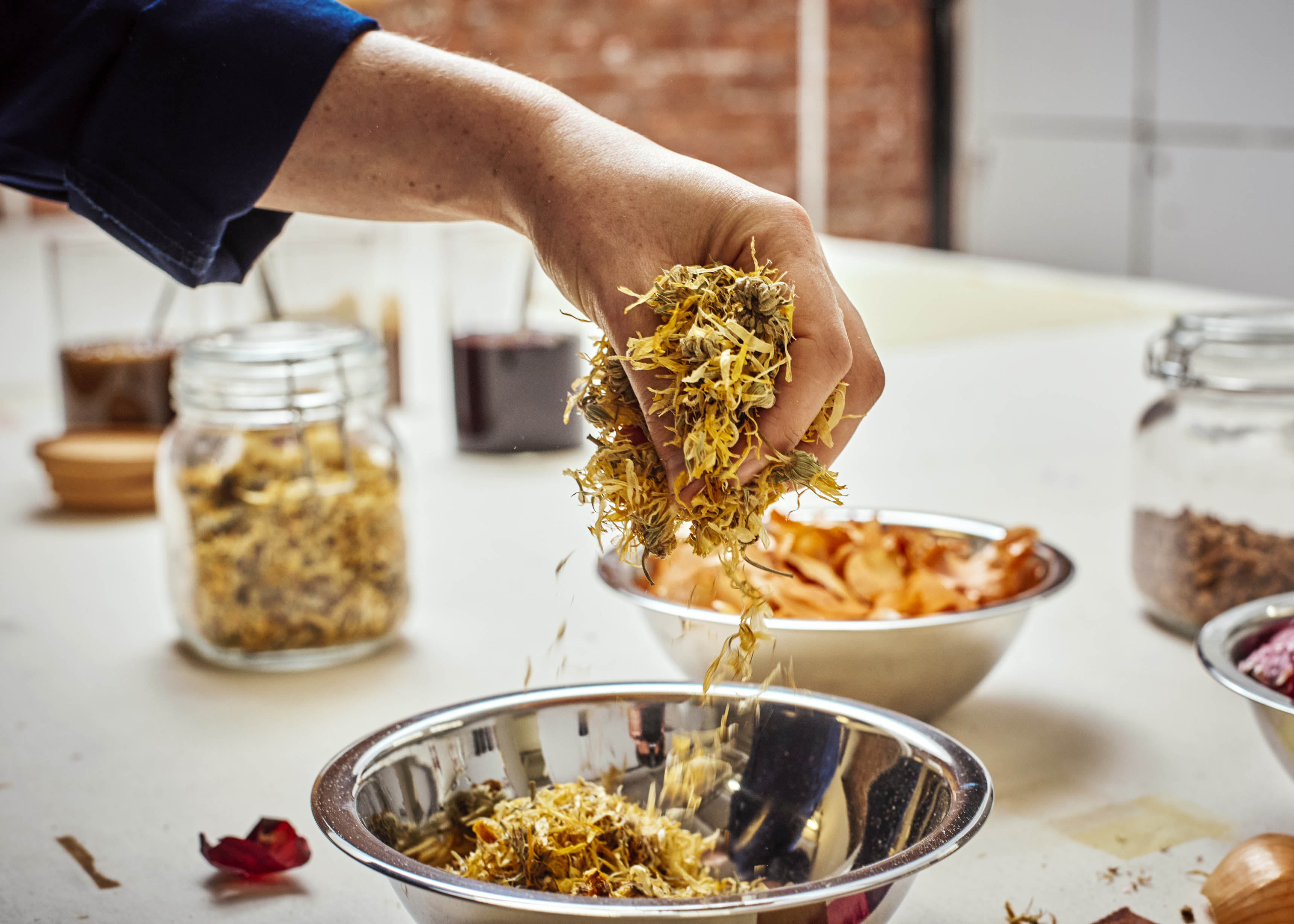 natural dyeing with dyers chamomile